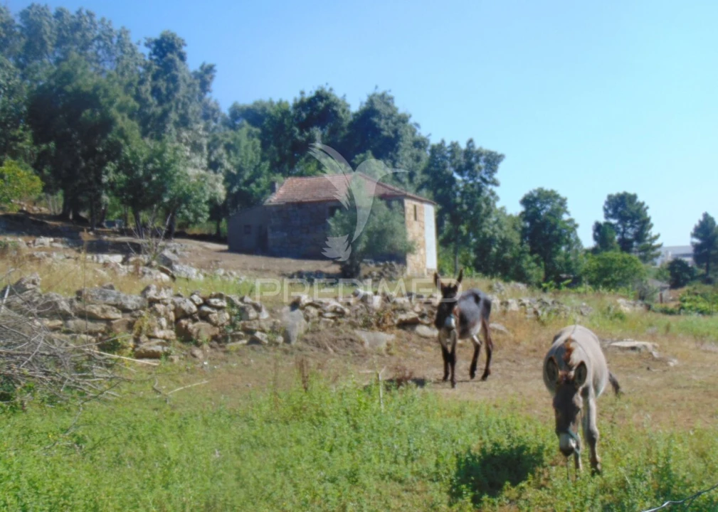 Moradia T2 para Venda em Torgueda Foto 35