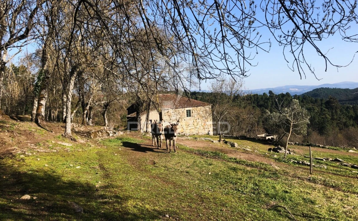 Moradia T2 para Venda em Torgueda Foto 36