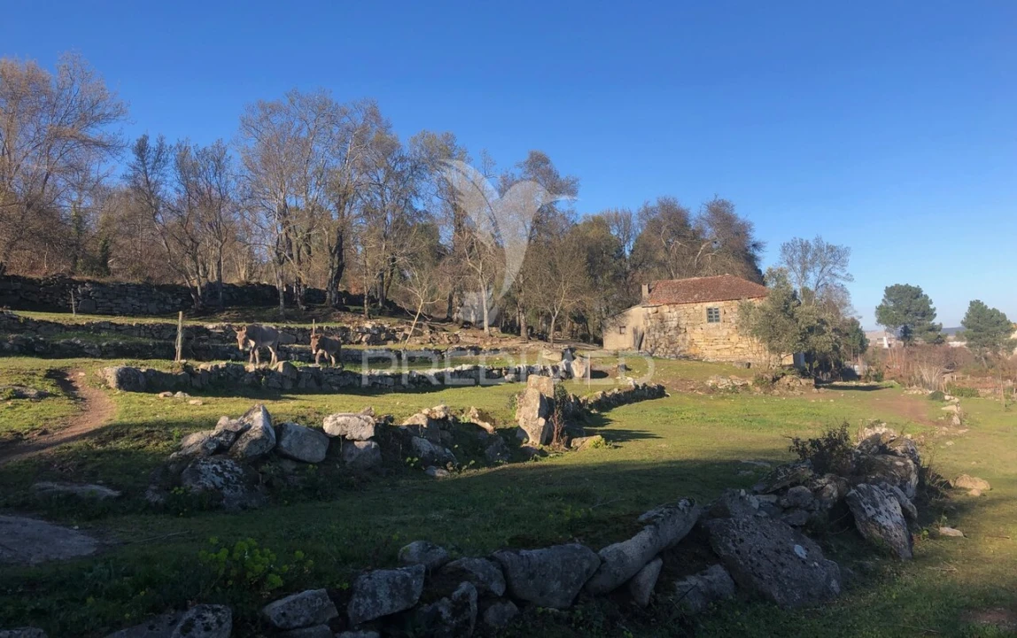 Moradia T2 para Venda em Torgueda Foto 34