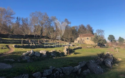 Moradia T2 para Venda em Torgueda