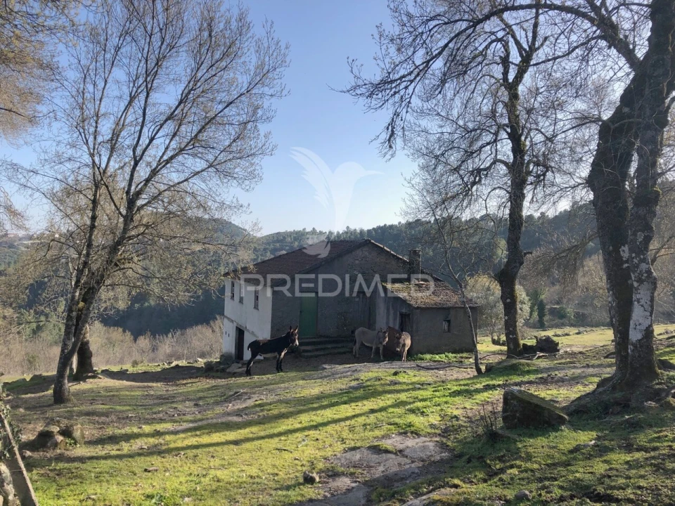 Moradia T2 para Venda em Torgueda Foto 3