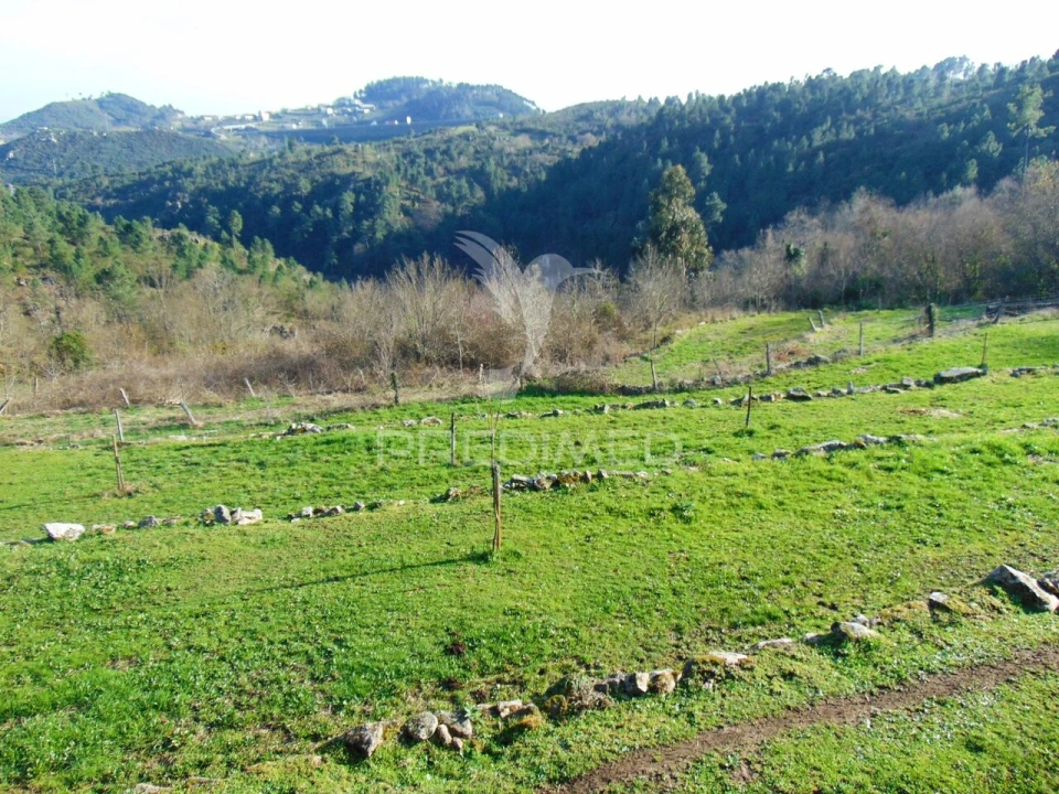 Moradia T2 para Venda em Torgueda Foto 22