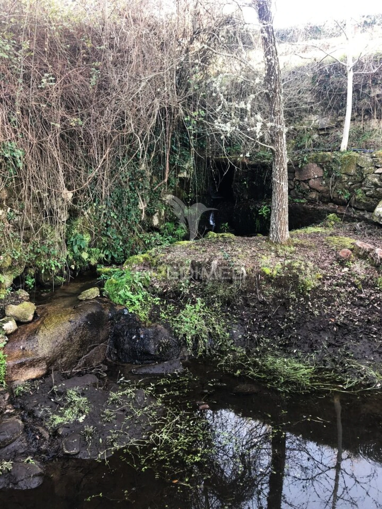 Moradia T2 para Venda em Torgueda Foto 32