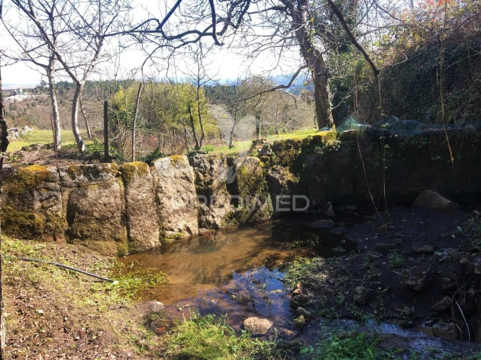 Moradia T2 para Venda em Torgueda Foto 33