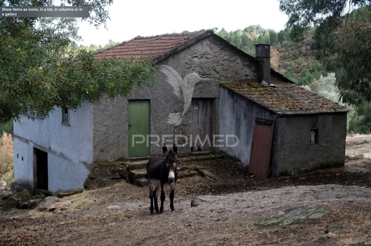 Moradia T2 para Venda em Torgueda Foto 13