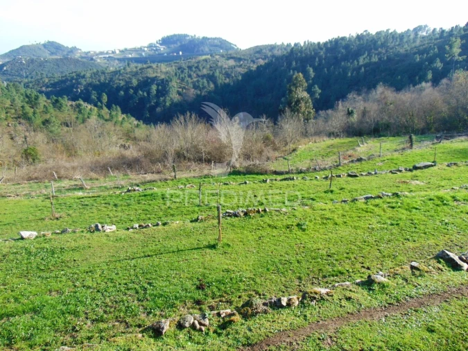 Moradia T2 para Venda em Torgueda Foto 22