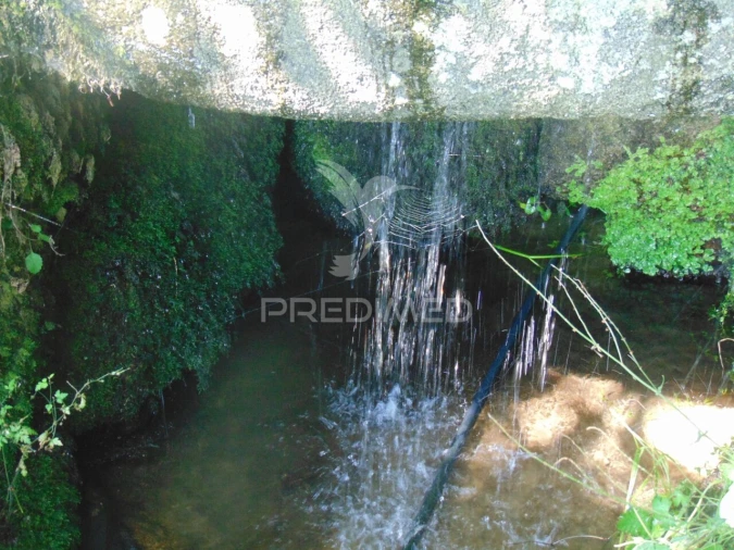 Moradia T2 para Venda em Torgueda Foto 30