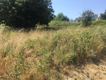 Terreno para Venda em São Pedro do Sul, Várzea e Baiões