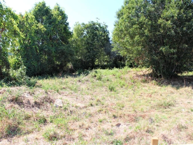 Terreno para Venda em São Pedro do Sul, Várzea e Baiões Foto 2