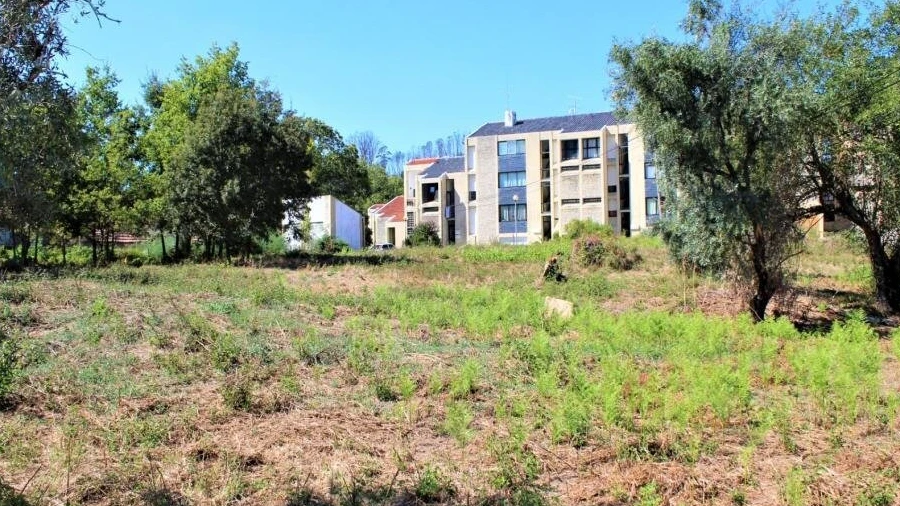 Terreno para Venda em São Pedro do Sul, Várzea e Baiões