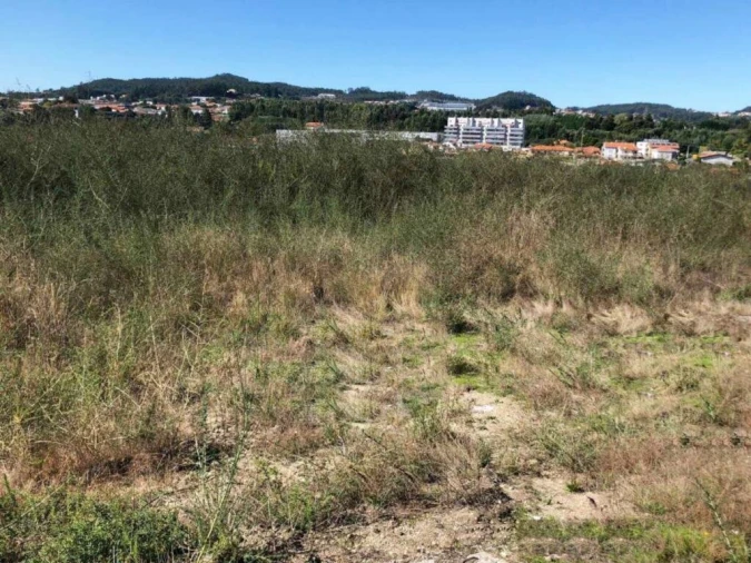 Terreno para Venda em Vila das Aves Foto 13