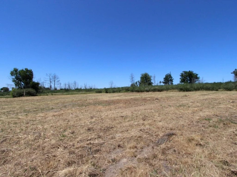 Terreno para Venda em Tourais e Lajes Foto 2