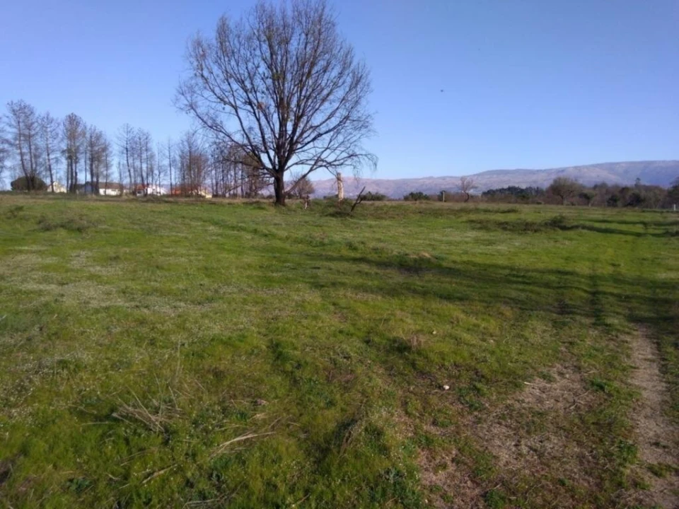 Terreno para Venda em Tourais e Lajes Foto 6