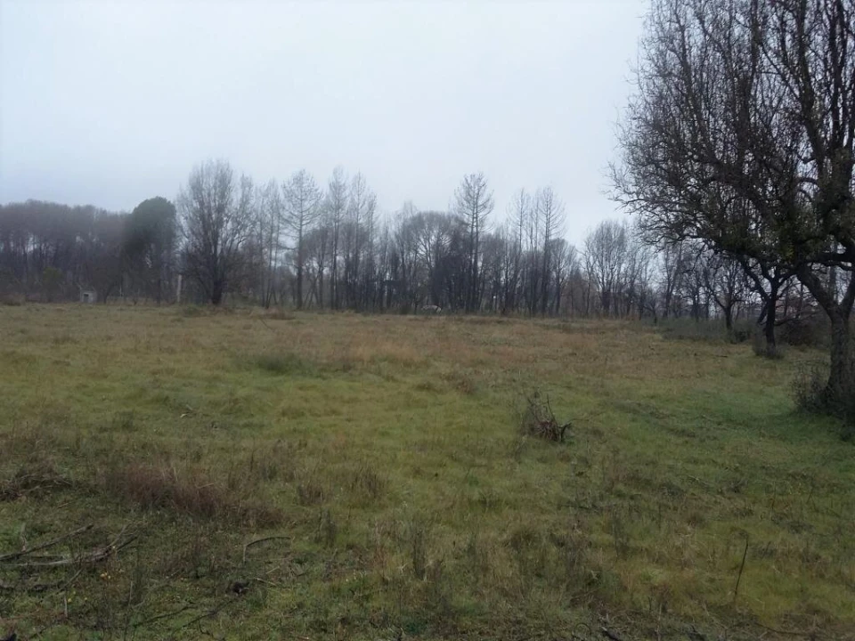 Terreno para Venda em Tourais e Lajes Foto 8