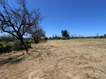 Terreno para Venda em Tourais e Lajes