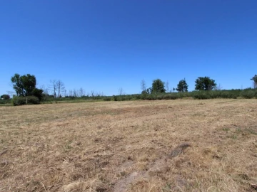 Terreno para Venda em Tourais e Lajes