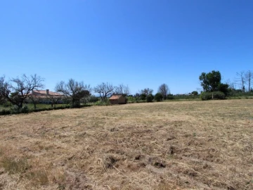 Terreno para Venda em Tourais e Lajes