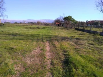 Terreno para Venda em Tourais e Lajes