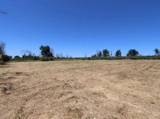 Terreno para Venda em Tourais e Lajes Foto 4