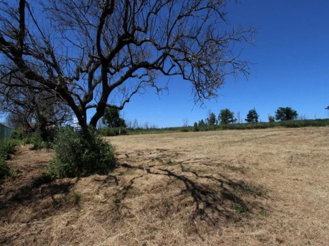 Terreno para Venda em Tourais e Lajes Foto 5