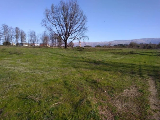 Terreno para Venda em Tourais e Lajes Foto 6