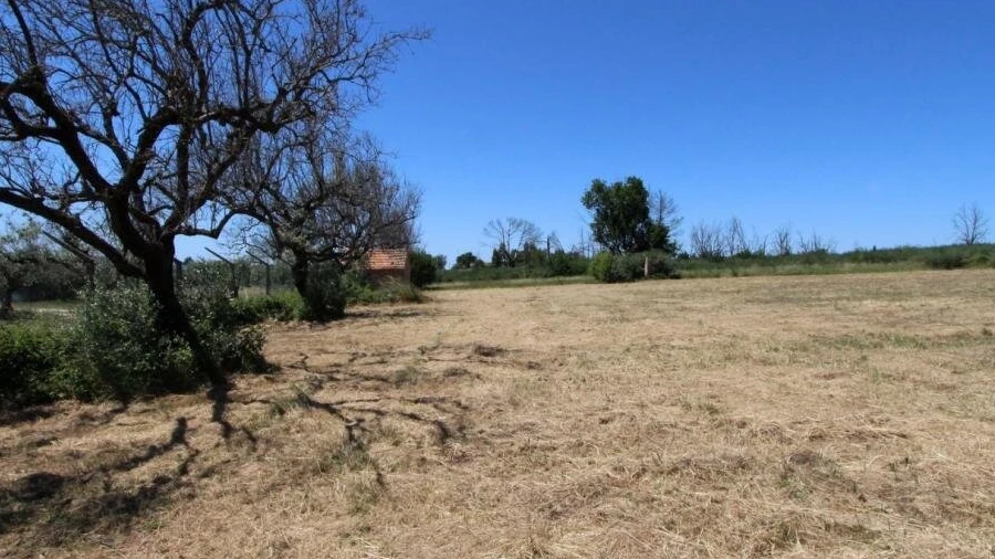 Terreno para Venda em Tourais e Lajes