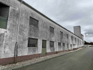 Armazém para Venda em Escapães