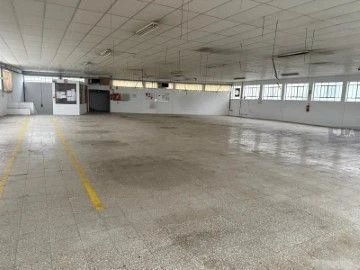 Armazém para Venda em Escapães