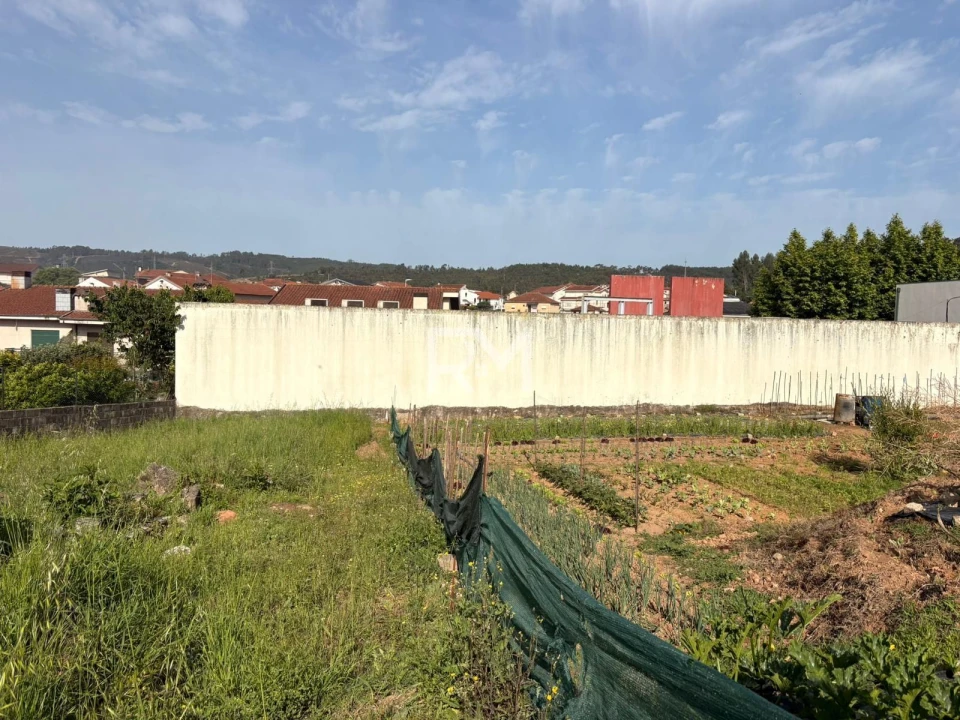Terreno para Venda em Campo e Sobrado Foto 11