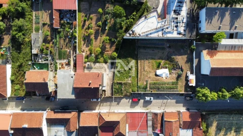 Terreno para Venda em Campo e Sobrado