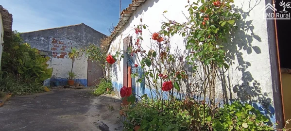 Moradia T4 para Venda em Abitureiras