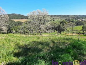Terreno para Venda em Alegrete