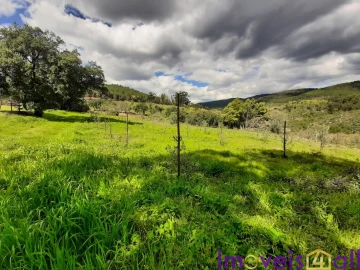 Terreno para Venda em Alegrete