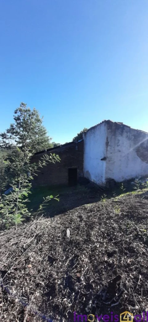 Terreno para Venda em Alegrete