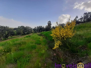 Terreno para Venda em Alegrete