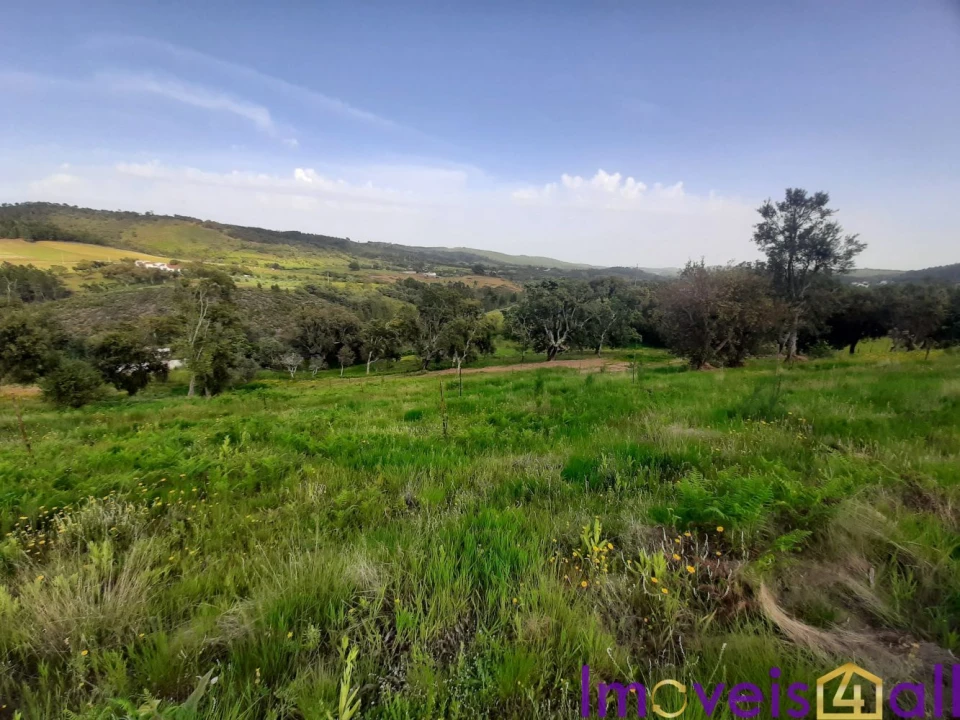 Terreno para Venda em Alegrete Foto 5