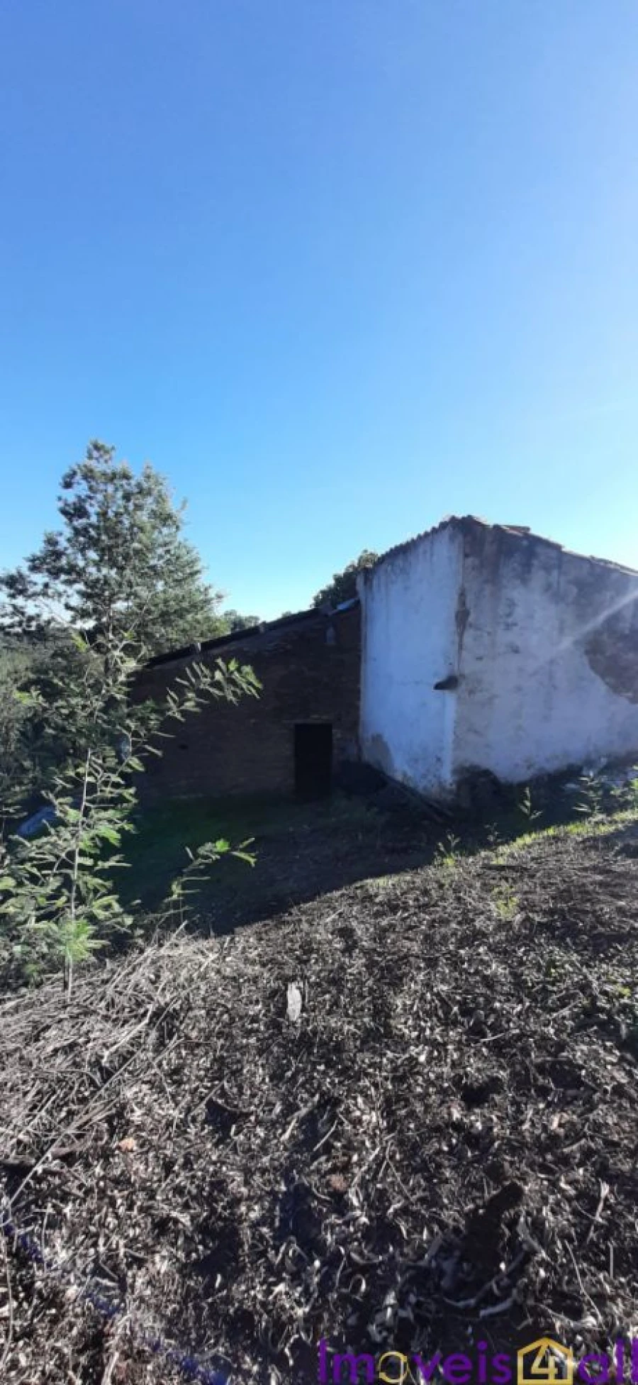 Terreno para Venda em Alegrete Foto 9