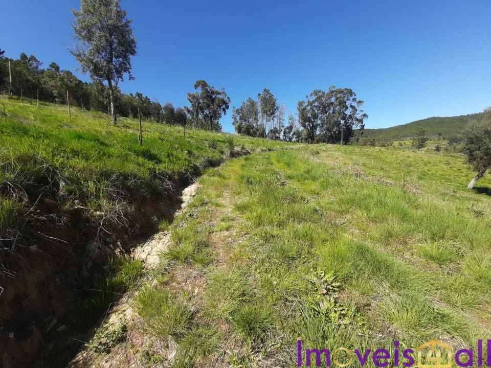Terreno para Venda em Alegrete Foto 7