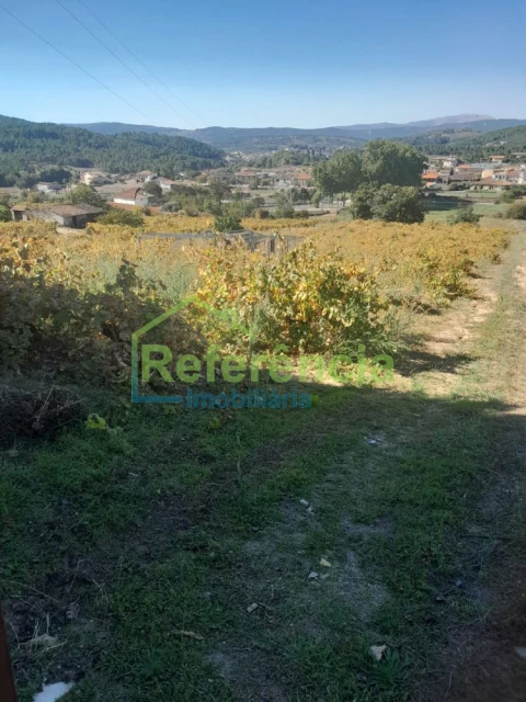 Quinta T5 para Venda em Oura