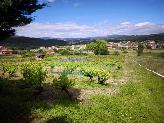Quinta T4 para Venda em Oura Foto 9