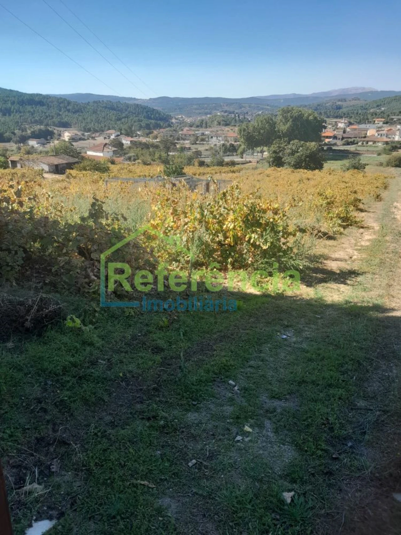 Quinta T5 para Venda em Oura Foto 45