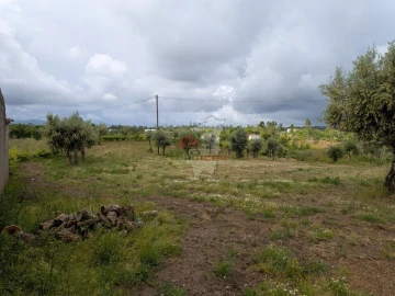 Terreno para Venda em Cabeçudo