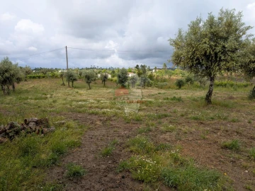 Terreno para Venda em Cabeçudo