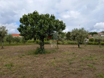 Terreno para Venda em Cabeçudo