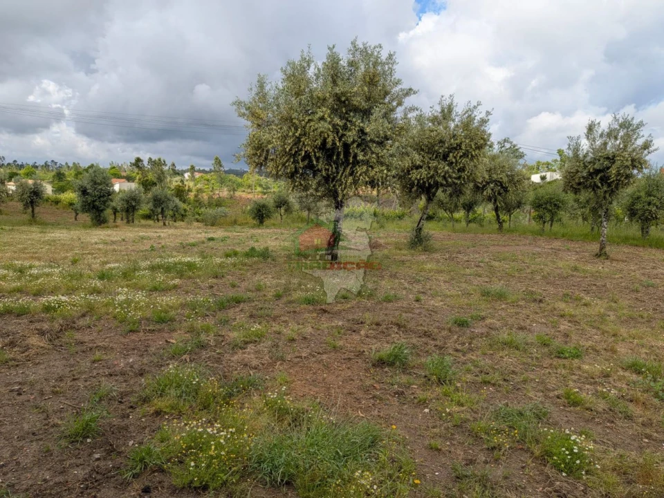 Terreno para Venda em Cabeçudo Foto 10