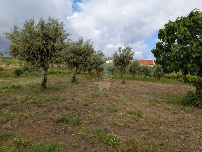 Terreno para Venda em Cabeçudo Foto 7