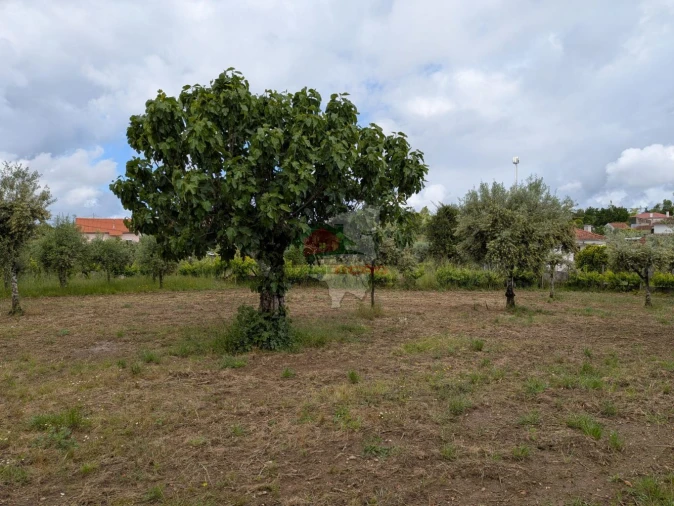 Terreno para Venda em Cabeçudo Foto 3