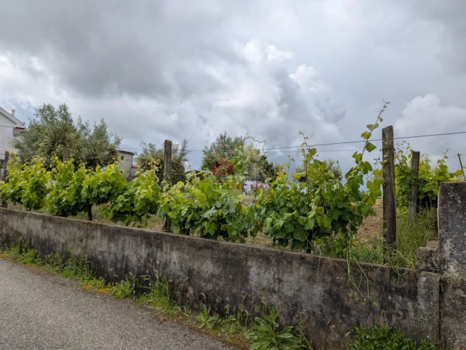 Terreno para Venda em Cabeçudo Foto 6