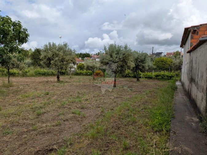 Terreno para Venda em Cabeçudo Foto 4