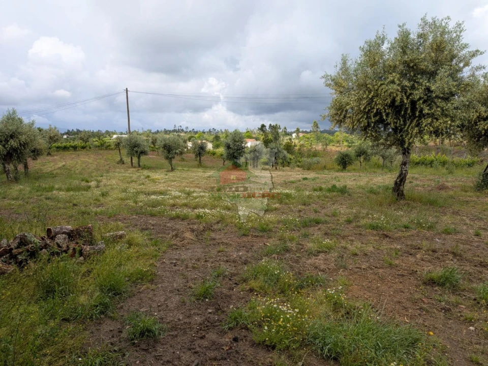 Terreno para Venda em Cabeçudo Foto 8